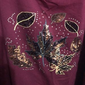 Fall Sparkle NWT Catherine’s Top